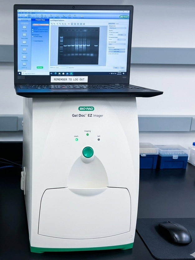 Gel Doc™ EZ Imager